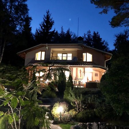 Luxury Villa Borina Zheleznitsa ภายนอก รูปภาพ