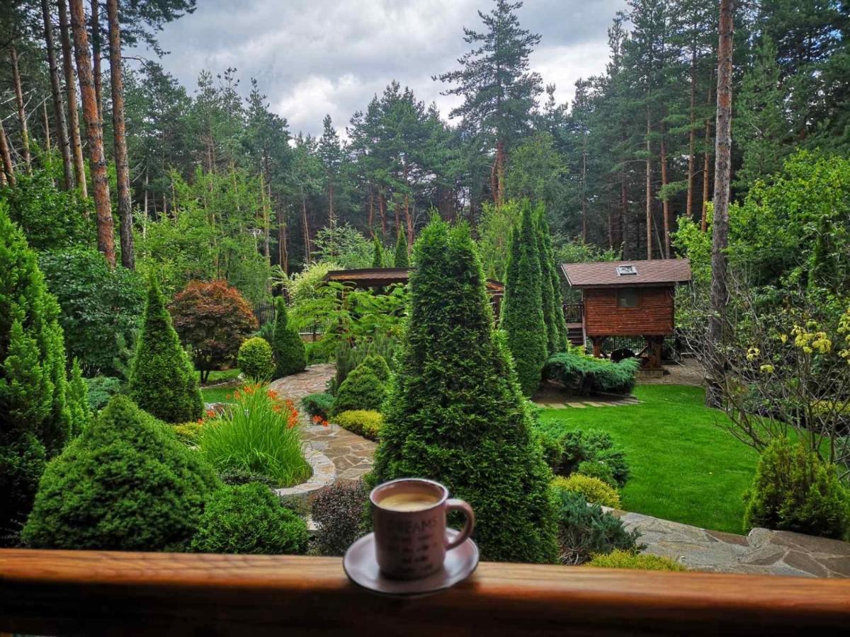 Luxury Villa Borina Zheleznitsa ภายนอก รูปภาพ