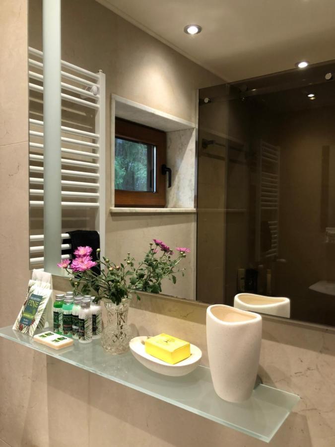 Luxury Villa Borina Zheleznitsa ภายนอก รูปภาพ