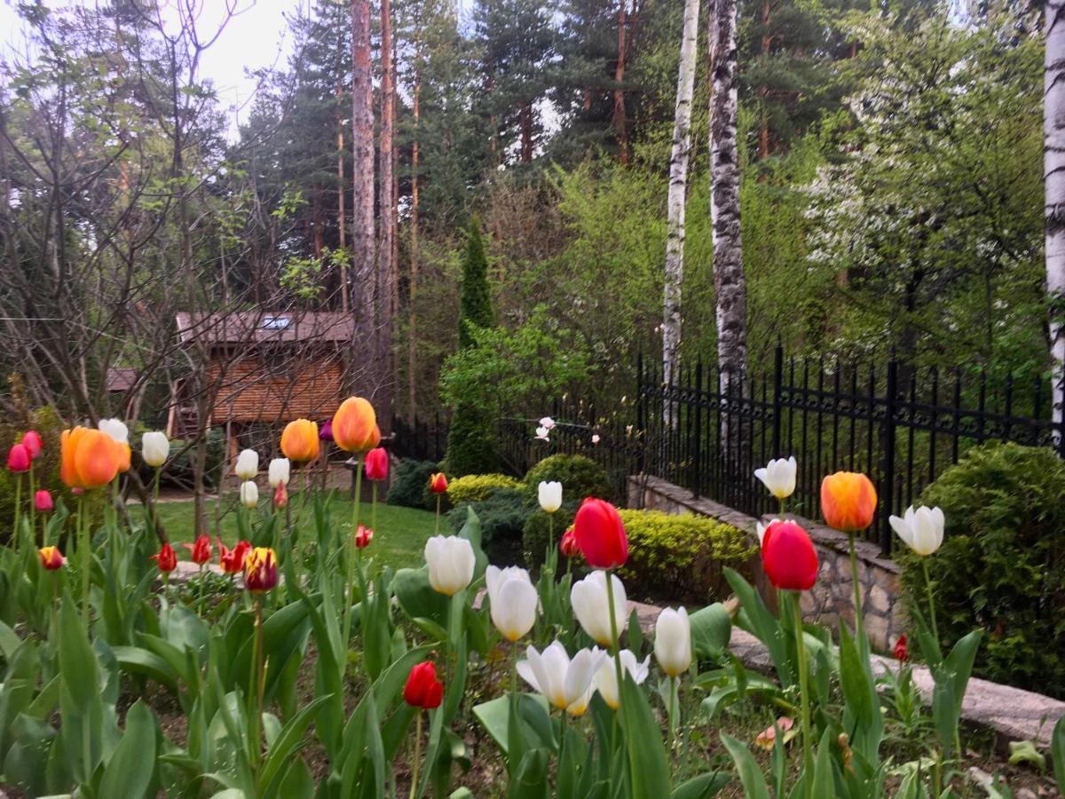 Luxury Villa Borina Zheleznitsa ภายนอก รูปภาพ