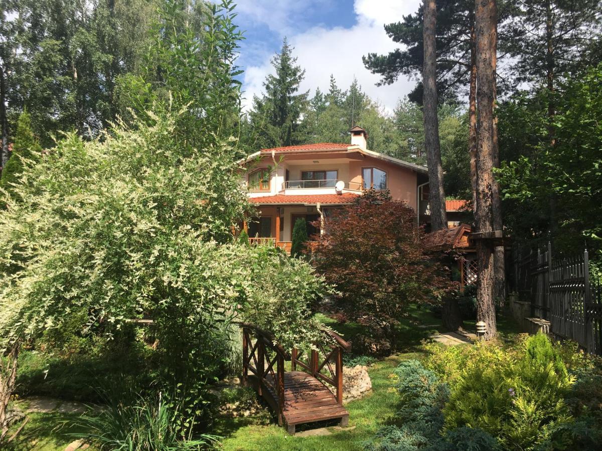 Luxury Villa Borina Zheleznitsa ภายนอก รูปภาพ
