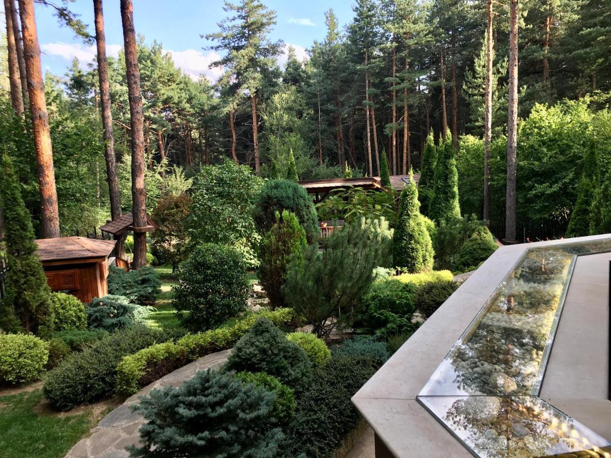 Luxury Villa Borina Zheleznitsa ภายนอก รูปภาพ
