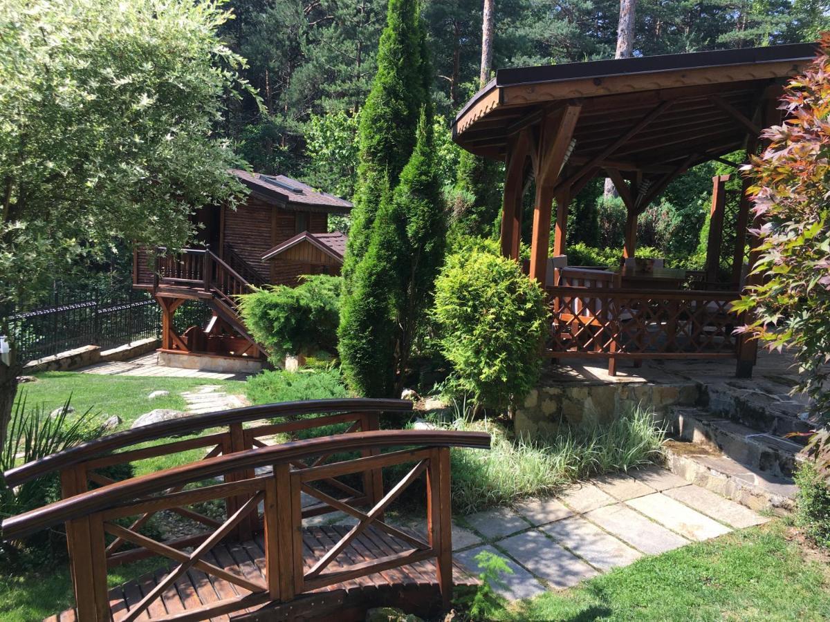 Luxury Villa Borina Zheleznitsa ภายนอก รูปภาพ