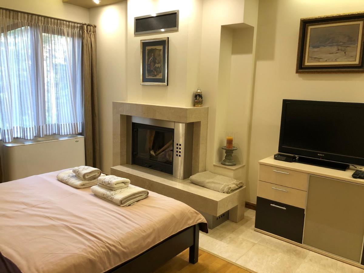 Luxury Villa Borina Zheleznitsa ภายนอก รูปภาพ