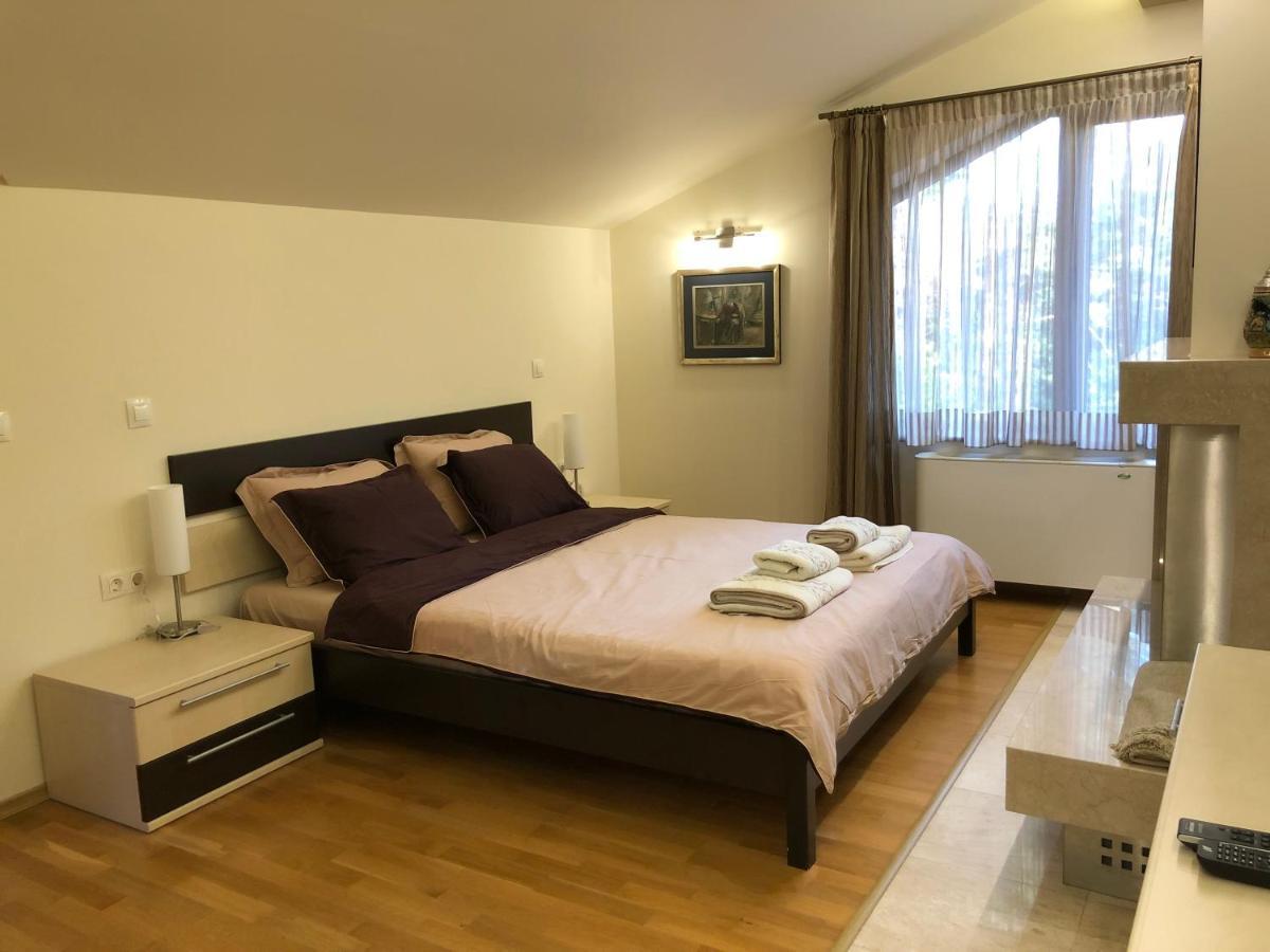 Luxury Villa Borina Zheleznitsa ภายนอก รูปภาพ