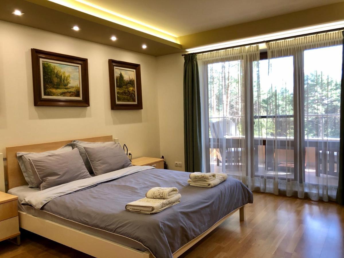 Luxury Villa Borina Zheleznitsa ภายนอก รูปภาพ