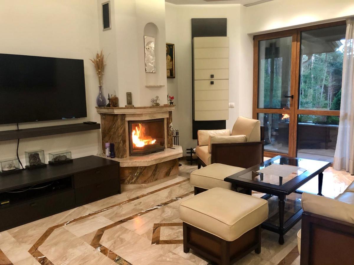 Luxury Villa Borina Zheleznitsa ภายนอก รูปภาพ