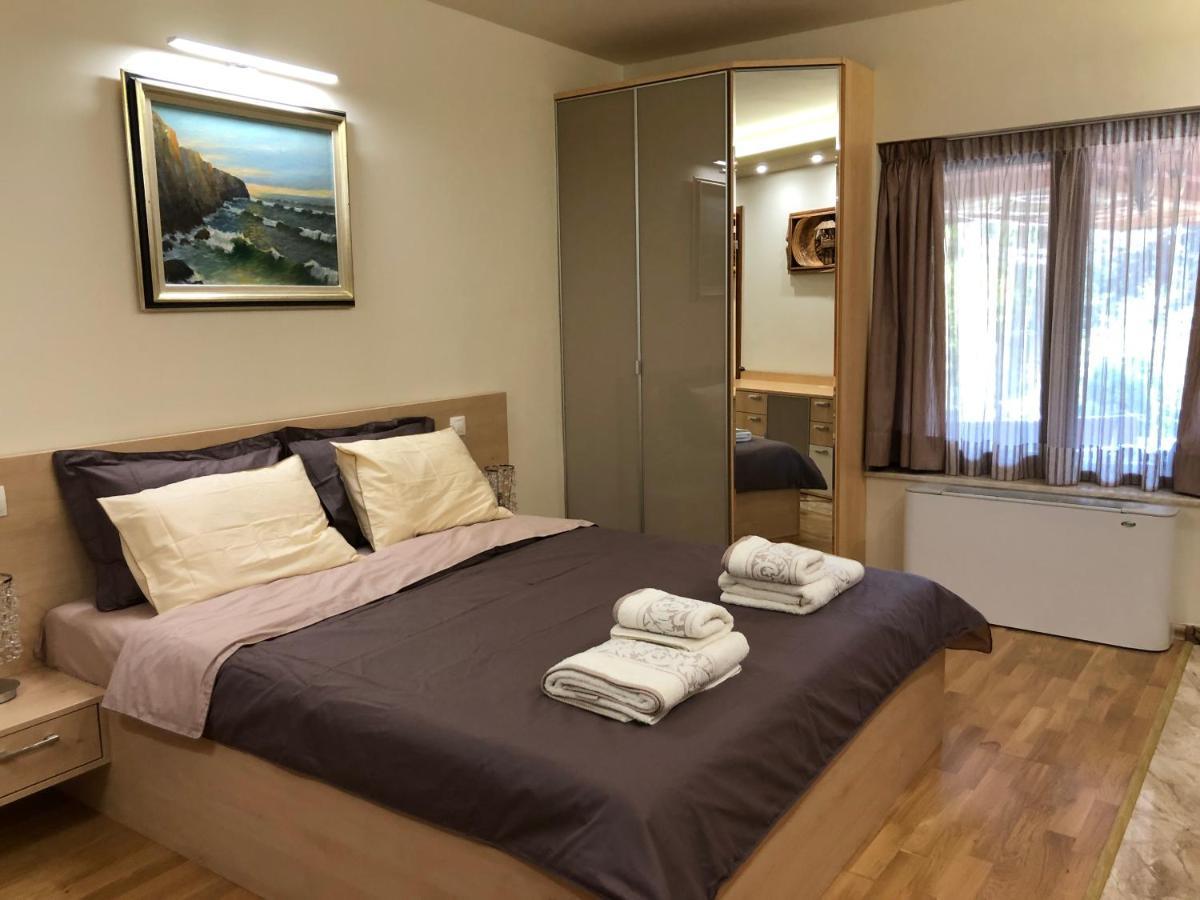 Luxury Villa Borina Zheleznitsa ภายนอก รูปภาพ