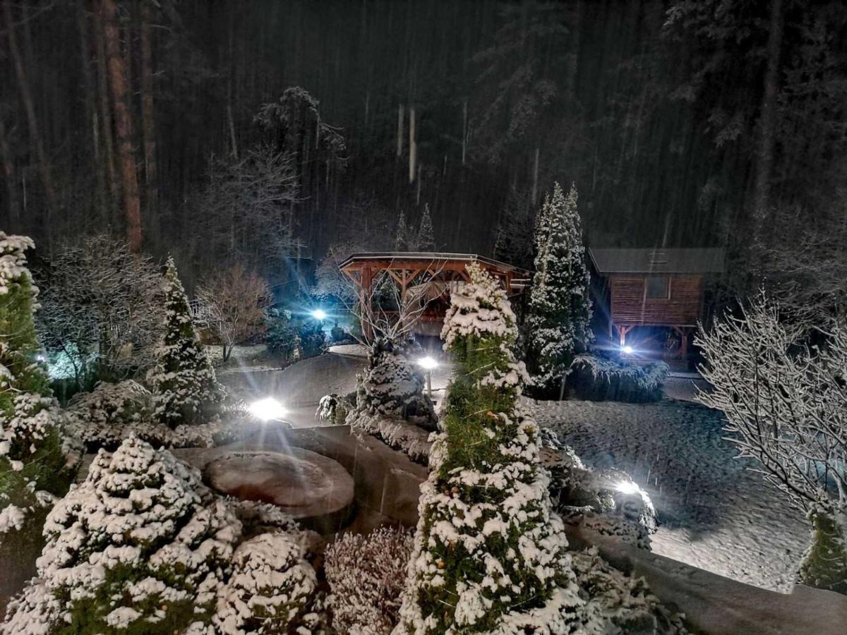 Luxury Villa Borina Zheleznitsa ภายนอก รูปภาพ